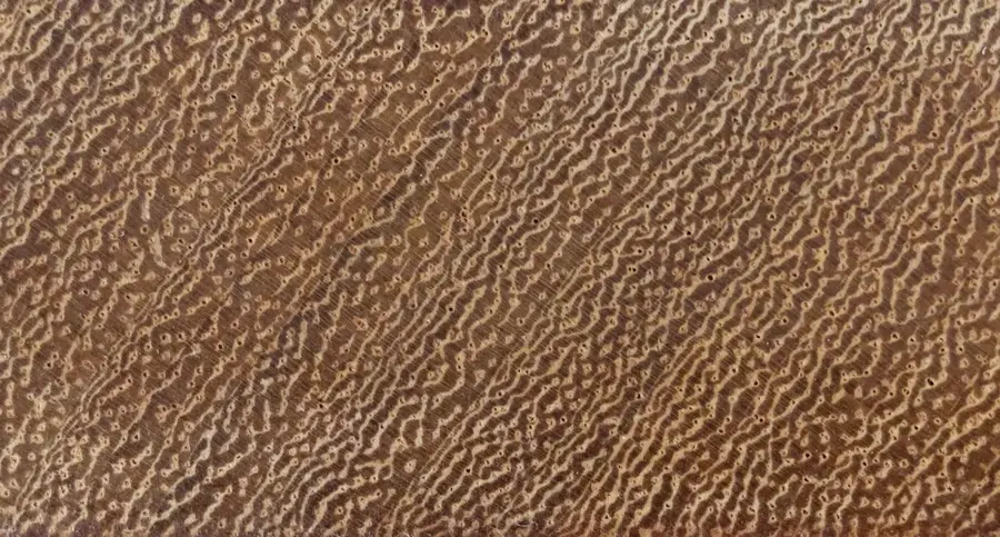 Detalle madera iroko para tablas de madera