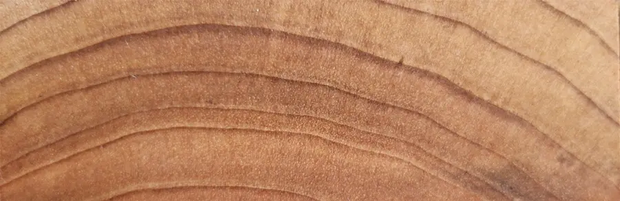 Detalle Testa de nogal, madera para tablas de cortar