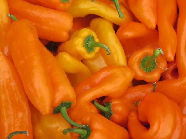 Ají rojo y amarillo en la feria gastronómica fusión