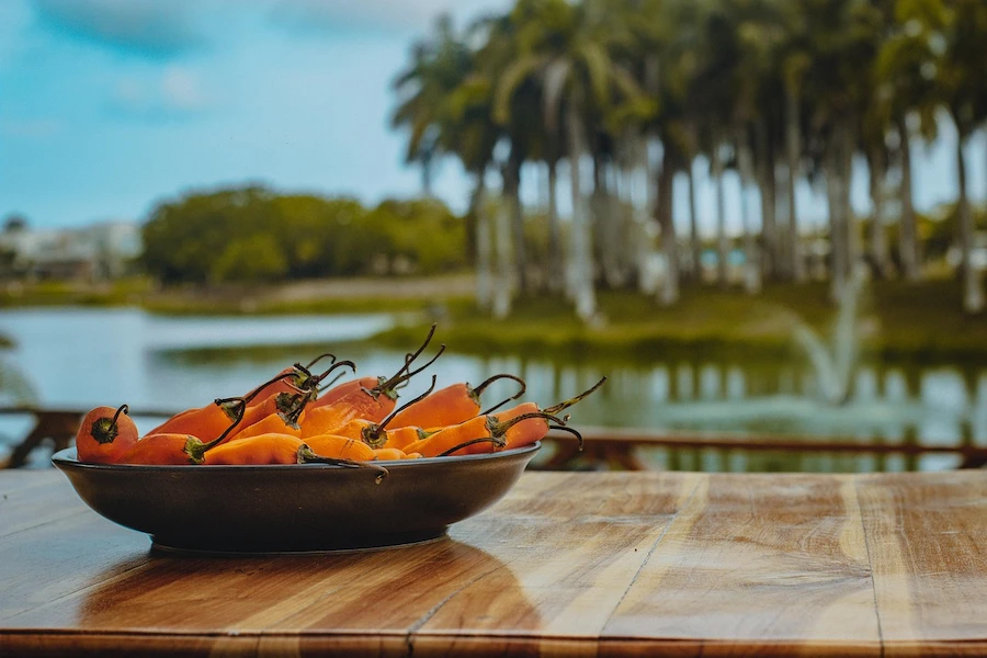 comida criolla peruana